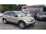 2008 Borrego Beige Metallic Honda CR-V EX 4WD #139788605