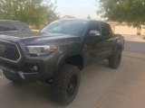 2019 Cement Gray Toyota Tacoma TRD Sport Double Cab 4x4 #139819149