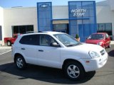 2007 Nordic White Hyundai Tucson GLS #13937445