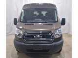 Caribou Ford Transit in 2017