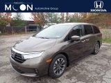 2021 Pacific Pewter Metallic Honda Odyssey EX-L #139991491