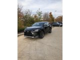 2021 Obsidian Lexus NX 300h AWD #140016915