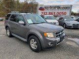 2012 Sterling Gray Metallic Ford Escape Limited 4WD #140064243