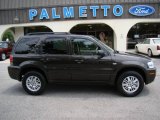 Charcoal Beige Metallic Mercury Mariner in 2006