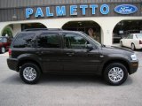 2006 Charcoal Beige Metallic Mercury Mariner Premier 4WD #13941308