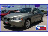 2008 Willow Green Metallic Volvo S60 2.5T #13895621