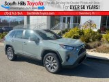 2021 Lunar Rock Toyota RAV4 XLE Premium AWD #140201301