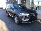 2020 Portofino Gray Hyundai Santa Fe SEL AWD #140305969