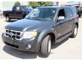 2008 Black Pearl Slate Metallic Ford Escape XLT V6 4WD #13876978