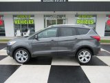 2019 Magnetic Ford Escape Titanium #140341847