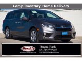 2019 Pacific Pewter Metallic Honda Odyssey EX #140346186