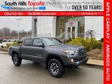 2021 Magnetic Gray Metallic Toyota Tacoma TRD Off Road Double Cab 4x4 #140349228