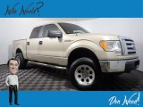 2010 Pueblo Gold Metallic Ford F150 XLT SuperCrew 4x4 #140460680