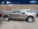 Stone Gray Ford F150 in 2021