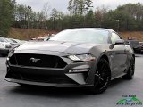 2020 Magnetic Ford Mustang GT Premium Fastback #140499970