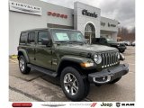 2021 Sarge Green Jeep Wrangler Unlimited Sahara 4x4 #140504562