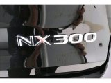 2020 Lexus NX 300 F Sport Marks and Logos