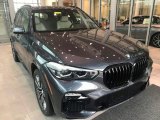 2021 Arctic Gray Metallic BMW X5 xDrive40i #140584792