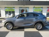Nebula Gray Pearl Lexus NX in 2020