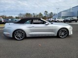 2019 Ford Mustang EcoBoost Premium Fastback Exterior