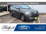 Magnetic Ford Expedition in 2018