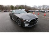 2020 Magnetic Ford Mustang GT Fastback #140664811