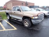 2000 Dodge Ram 1500 SLT Extended Cab 4x4 Front 3/4 View