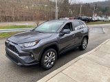 Magnetic Gray Metallic Toyota RAV4 in 2021