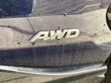 2021 Toyota RAV4 XSE AWD Hybrid Marks and Logos