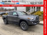 2021 Magnetic Gray Metallic Toyota Tacoma TRD Off Road Double Cab 4x4 #140715414