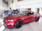 2019 Ruby Red Ford Mustang Shelby GT350 #140769444