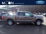 Stone Gray Ford F150 in 2021
