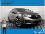 2021 Pacific Pewter Metallic Honda Odyssey EX-L #140822381