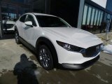2021 Snowflake White Pearl Mica Mazda CX-30 Select AWD #140875854