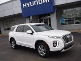 2020 Hyper White Hyundai Palisade SE AWD #140891388