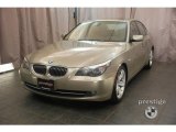 2008 Platinum Bronze Metallic BMW 5 Series 528i Sedan #14041724
