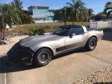 1982 Silver Beige Chevrolet Corvette Collector Edition Hatchback #140996147