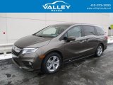 2019 Pacific Pewter Metallic Honda Odyssey EX-L #141071759