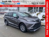 2021 Toyota Sienna LE AWD Hybrid Data, Info and Specs