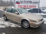 Zircon Metallic Jaguar X-Type in 2003