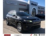 2021 Diamond Black Crystal Pearl Jeep Cherokee Latitude Lux 4x4 #141184258