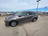 2021 Predawn Gray Mica Toyota Sienna LE Hybrid #141214718