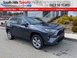 2021 Lunar Rock Toyota RAV4 XLE AWD Hybrid #141234459