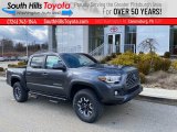 2021 Magnetic Gray Metallic Toyota Tacoma TRD Off Road Double Cab 4x4 #141234456