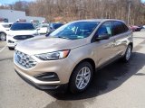 2021 Ford Edge SE AWD Exterior