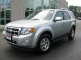 2009 Brilliant Silver Metallic Ford Escape Hybrid #14111173