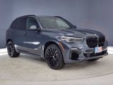 2021 Arctic Gray Metallic BMW X5 sDrive40i #141261504