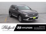 2021 Portofino Gray Hyundai Santa Fe SEL #141288817