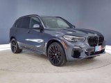 Arctic Gray Metallic BMW X5 in 2021