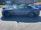 2019 Magnetic Ford Mustang EcoBoost Premium Convertible #141297716